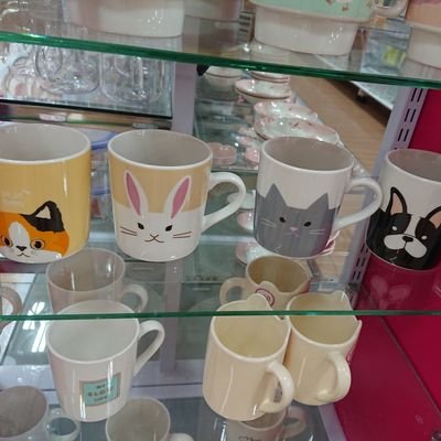 シニアレジデント