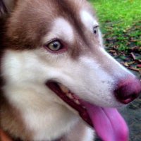 Glenn Dream ❤️ Memecoin (@glenndream3) 's Twitter Profile