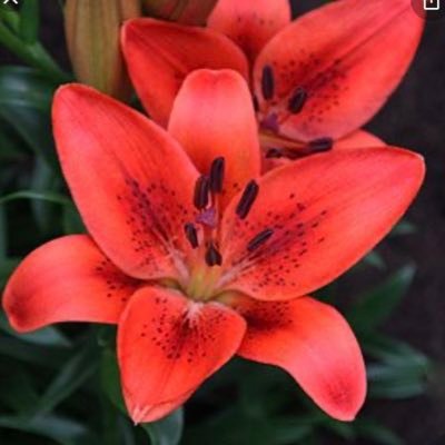 threeplustrips's profile picture. 