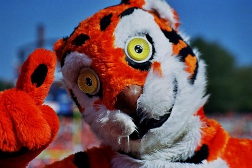 Edisto61's profile picture. 