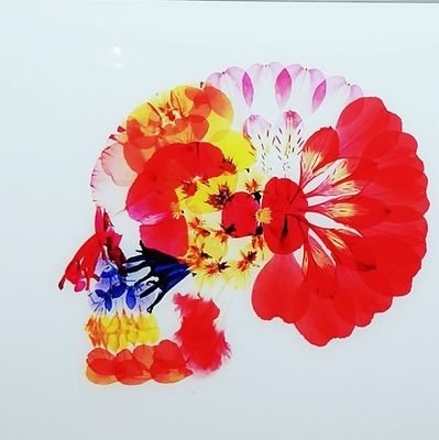 kiki91449620's profile picture. 