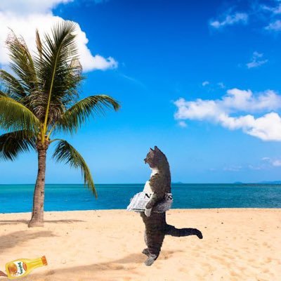 peachfuzz02's profile picture. Sup