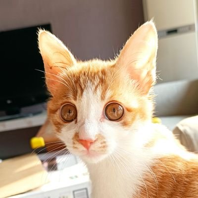 Roggebear1's profile picture. The kindness of others, when listened carefully, is not wrong. Poor cognition, time, and information will always exist. The decision-making power is in your own