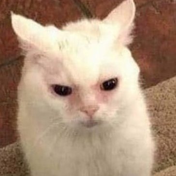 carltonbanksx's profile picture. ¿¿?¿??