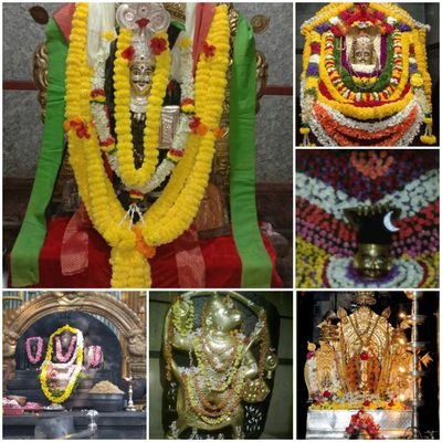 KrHalesha's profile picture. farmer