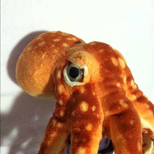 gojiru's profile picture. Love Sci-Fi, Movies and Tech...