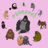 Japan Monkey Centre (@jpnmonkeycentre) 's Twitter Profile