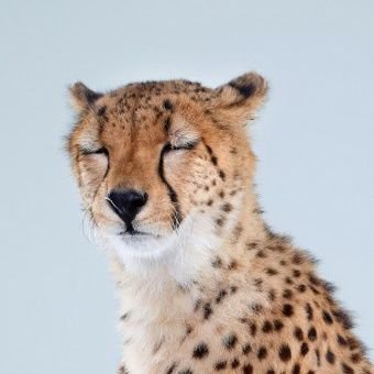 누이さんのプロフィール画像