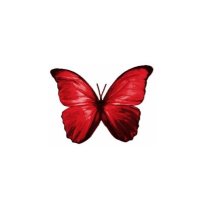 ً (@pixysource) 's Twitter Profile