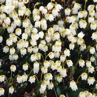 Heather03959034's profile picture. 