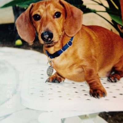 JohnJdenton4504's profile picture. 