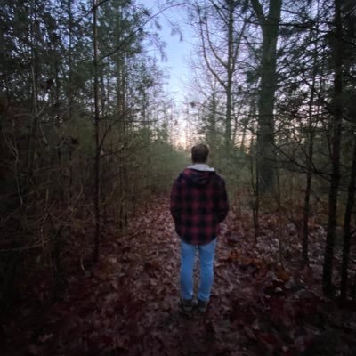 thijsgrootveld's profile picture. 