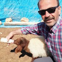 Muhsin Akpınar 💖🇹🇷💖 (@yaahaqq) 's Twitter Profile