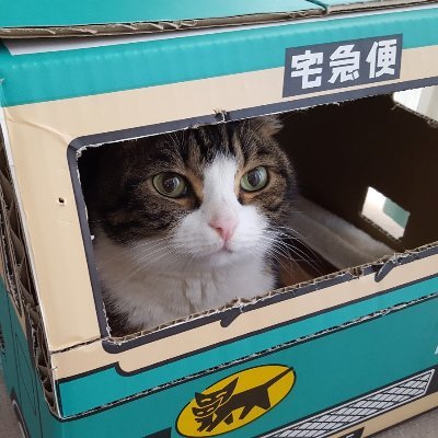 super_nekoramen's profile picture. フォロー歓迎✨無言フォロー失礼します。
ラーメン、大衆酒場、その他旨いもの。
DMには返事しません。
ほぼ備忘録。