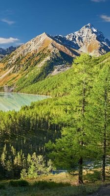 Afand57115127's profile picture. 