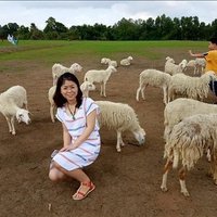 Nash Adaline ❤️ Memecoin (@nashadaline1) 's Twitter Profile