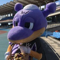 モモ (@mgmgdx) Twitter profile photo