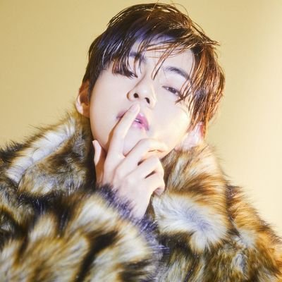 fan account for tannies ( ◜‿◝ )♡ 
she/her