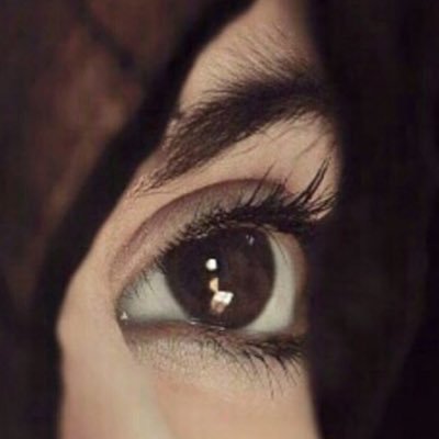 al198000's profile picture. غبت أنت وأصبح قلبي في ذمة الله ..