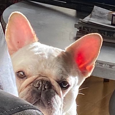 sashalo41733427's profile picture. 