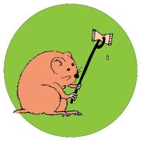 CherryHintonBrook (@cambridgefchb) 's Twitter Profile