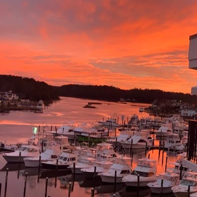 bobbyreckling's profile picture. 