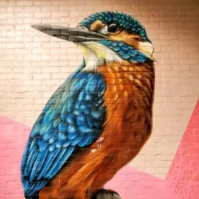 trevorteatro's profile picture. Twitch and Shout. MDANT