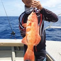 Netiphan (@netiphan5) 's Twitter Profile