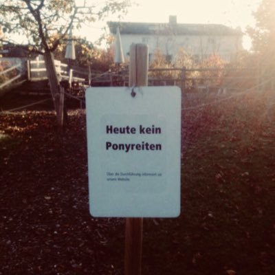 nirgendwo_nora's profile picture. 