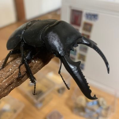 AKI-DCのプロフィール写真