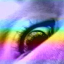 metadated's profile picture. METADATED is an electronic artist. Her work has been exhibited internationally at galleries, new media festivals and cyberspace since 2001.