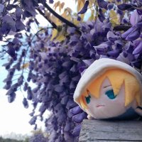 亥 (@w9tzwf11) 's Twitter Profile