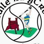 Castlepollard Camogie (@castlepollardc) 's Twitter Profile
