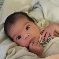Guasón Part Deux (@jestertheruben) 's Twitter Profile