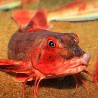 aless (@aless437) 's Twitter Profile