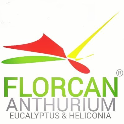 Productor de Anthurium, Eucalyptus & Heliconias