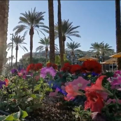 7LS57nvGxFmJBdQ's profile picture. 心想有时候真的可以事成，比如我……