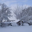 Gail Corbett - @RonniCorbett - Twitter