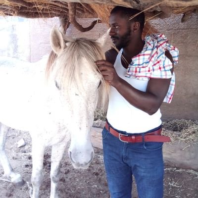 TourayBafoday's profile picture. 