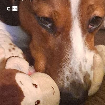 Michael69339492's profile picture. 