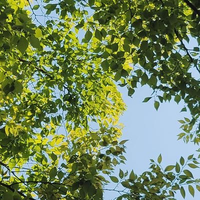도쿄 거주 중. 글씨 쓰고 좋아하는 것에 대해 떠듭니다. 최근엔 이런저런 음악(일본음악 시티팝 재즈 세션 중심 T-SQUARE • 소토조노 카즈마🎸• 미야자키 타카히로🎷• NBCP •スピッツ・J-POP / 日本語OK / ㅋㅍㅋㄹ, ㄷㅆ, ㅇㅂ ❌