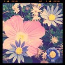 Heather Macfarlane - @missheathermac - Twitter