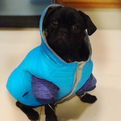 augsten93's profile picture. LIfe the moment✌️