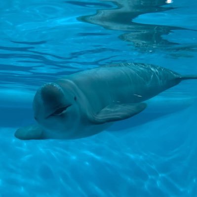 r_re91's profile picture. 