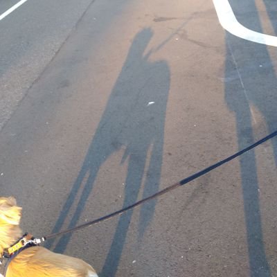 machiyuki5's profile picture. よろしくお願いいたします！