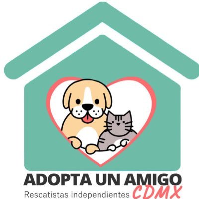 Adopta un amigo CDMX