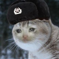 depressed hoe that cant drive (@comradek86) 's Twitter Profile