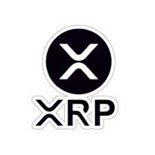 xrpbobbles Profile Picture