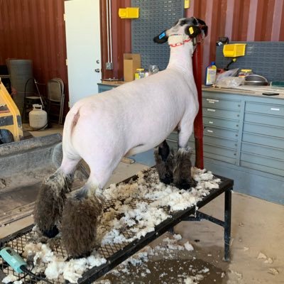 HaydenGarfield5's profile picture. 