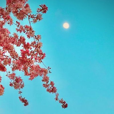 HaarshiniG's profile picture. • she/her • 𝚃𝙷𝚂’𝟸𝟹• 𝚃𝙷𝚂 𝟺𝙽𝟼 
Co-founder of Mark My Words
https://t.co/tqZKcNyRT2